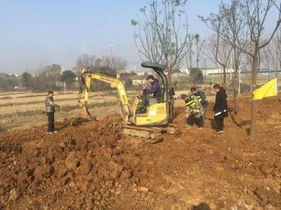 元旦前，應城再添靚麗綠化節點，守護文物文化遺址